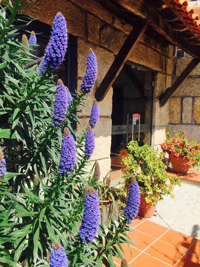 Apartmán Casa Maximo Penafiel Exteriér fotografie